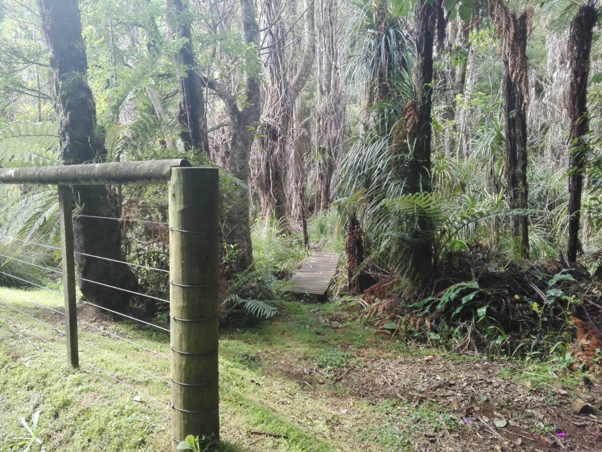 뉴플리머스 Taranaki Experience 아파트 외부 사진